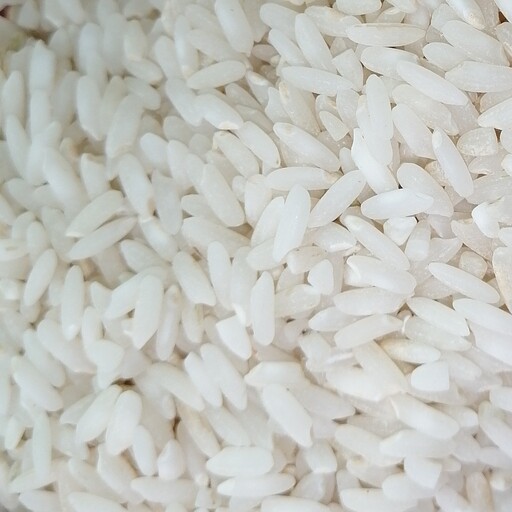 برنج لنجان درجه یک