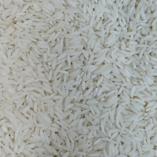 برنج علی کاظمی